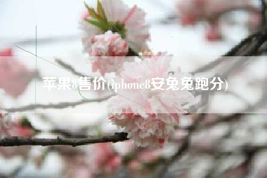 苹果8售价(iphone8安兔兔跑分)