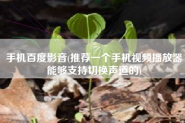 手机百度影音(推荐一个手机视频播放器能够支持切换声道的)