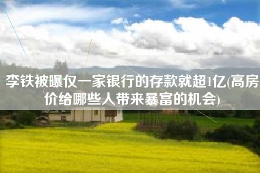 李铁被曝仅一家银行的存款就超1亿(高房价给哪些人带来暴富的机会)