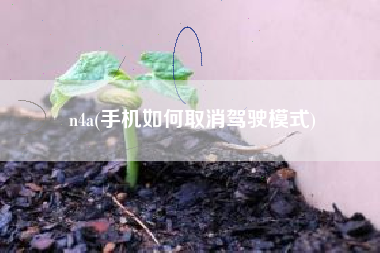 n4a(手机如何取消驾驶模式)