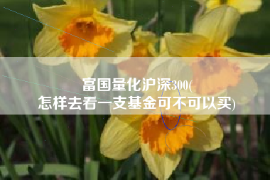 富国量化沪深300(
怎样去看一支基金可不可以买) 富国量化沪深300(
怎样去看一支基金可不可以买)