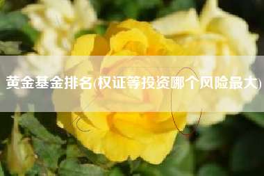 黄金基金排名(权证等投资哪个风险最大)
