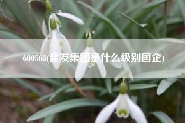 600563(建发集团是什么级别国企)