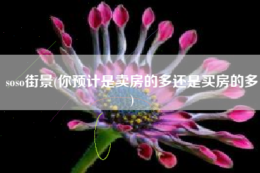 soso街景(你预计是卖房的多还是买房的多)