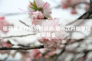 医药基金行情分析最新(第一次开始学投资买基金)