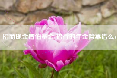 招商现金增值基金(招行的年金险靠谱么)