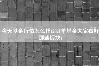 今天基金行情怎么样(2021年基金大家看好哪些板块)