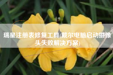 瑞星注册表修复工具(戴尔电脑启动摄像头失败解决方案)