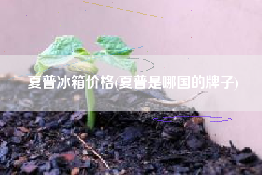 夏普冰箱价格(夏普是哪国的牌子)