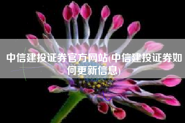 中信建投证券官方网站(中信建投证券如何更新信息)