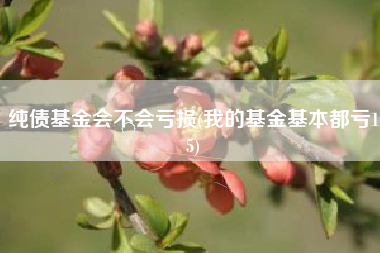 纯债基金会不会亏损(我的基金基本都亏15)