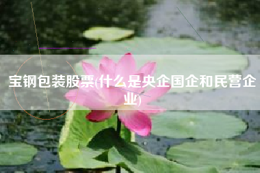 宝钢包装股票(什么是央企国企和民营企业)