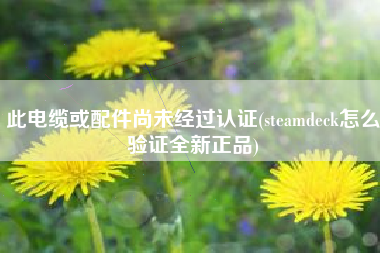 此电缆或配件尚未经过认证(steamdeck怎么验证全新正品)