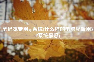 笔记本专用xp系统(什么样的电脑配置用XP系统最好)