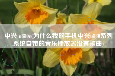 中兴 u880e(为什么我的手机中兴u880系列系统自带的音乐播放器没有歌曲)
