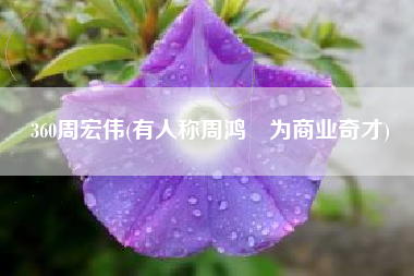 360周宏伟(有人称周鸿祎为商业奇才)