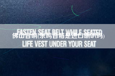 佛山音响(东鸣音箱是进口喇叭吗)