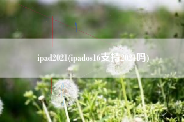 ipad2021(ipados16支持2021吗)