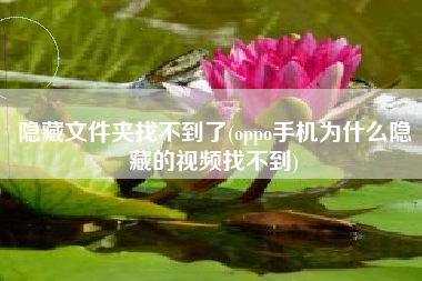 隐藏文件夹找不到了(oppo手机为什么隐藏的视频找不到)