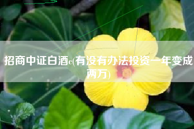招商中证白酒c(有没有办法投资一年变成两万)