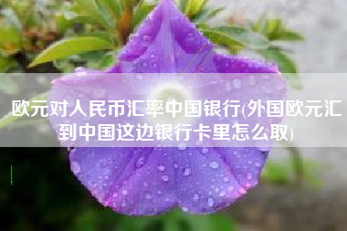 欧元对人民币汇率中国银行(外国欧元汇到中国这边银行卡里怎么取)