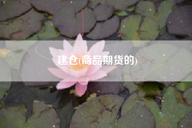 建仓(商品期货的)