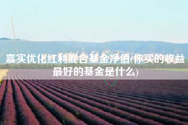 嘉实优化红利混合基金净值(你买的收益最好的基金是什么)