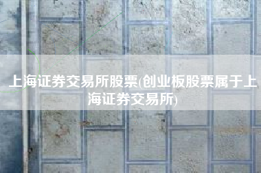 上海证券交易所股票(创业板股票属于上海证券交易所)