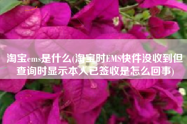 淘宝ems是什么(淘宝时EMS快件没收到但查询时显示本人已签收是怎么回事)