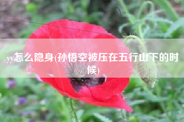 yy怎么隐身(孙悟空被压在五行山下的时候)