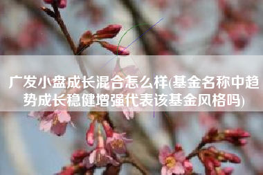广发小盘成长混合怎么样(基金名称中趋势成长稳健增强代表该基金风格吗)