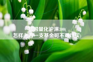 富国量化沪深300(
怎样去看一支基金可不可以买) 富国量化沪深300(
怎样去看一支基金可不可以买)