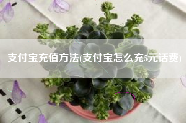 支付宝充值方法(支付宝怎么充5元话费)