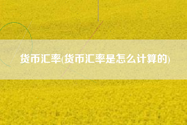 货币汇率(货币汇率是怎么计算的)
