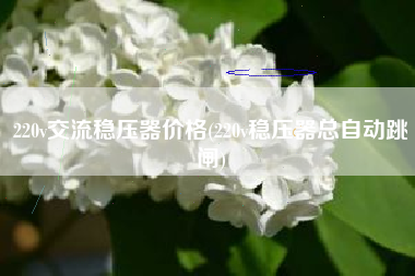 详细阅读:220v交流稳压器价格(220v稳压器总自动跳闸) 220v交流稳压器价格(220v稳压器总自动跳闸)