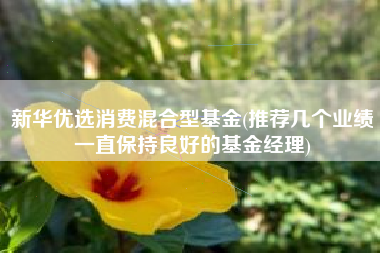 新华优选消费混合型基金(推荐几个业绩一直保持良好的基金经理)
