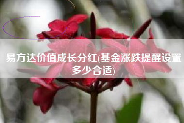 易方达价值成长分红(基金涨跌提醒设置多少合适)