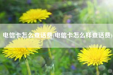 电信卡怎么查话费(电信卡怎么样查话费)