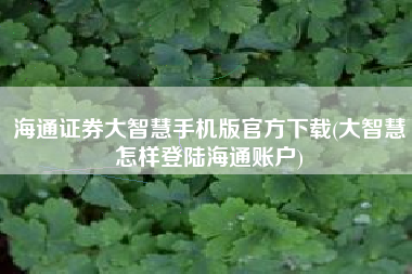 海通证券大智慧手机版官方下载(大智慧怎样登陆海通账户)