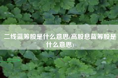 二线蓝筹股是什么意思(高股息蓝筹股是什么意思)