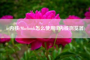 ie内核(Macbook怎么使用IE内核浏览器)