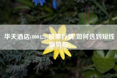 华天酒店(000428)股票行情(如何选到短线强势股)