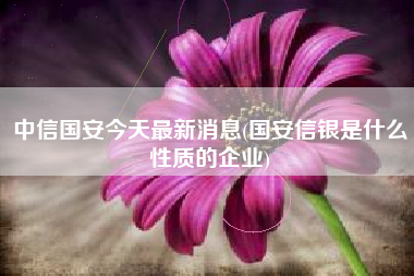 中信国安今天最新消息(国安信银是什么性质的企业)