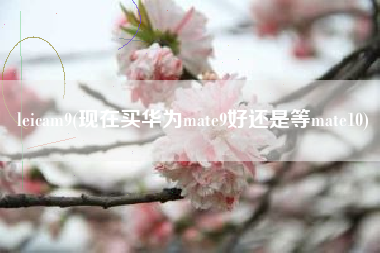 leicam9(现在买华为mate9好还是等mate10)