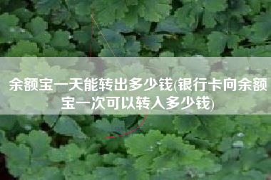 详细阅读:余额宝一天能转出多少钱(银行卡向余额宝一次可以转入多少钱) 余额宝一天能转出多少钱(银行卡向余额宝一次可以转入多少钱)