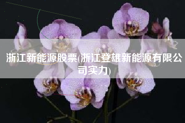 浙江新能源股票(浙江登雄新能源有限公司实力)