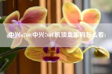中兴n760(中兴760E机顶盒串码怎么看)