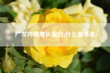 广发内需增长混合(什么是基金)