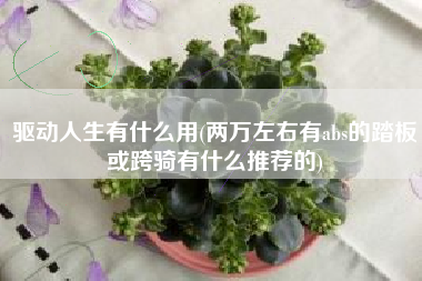 驱动人生有什么用(两万左右有abs的踏板或跨骑有什么推荐的)