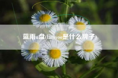 蓝雨u盘(lamyoo是什么牌子)